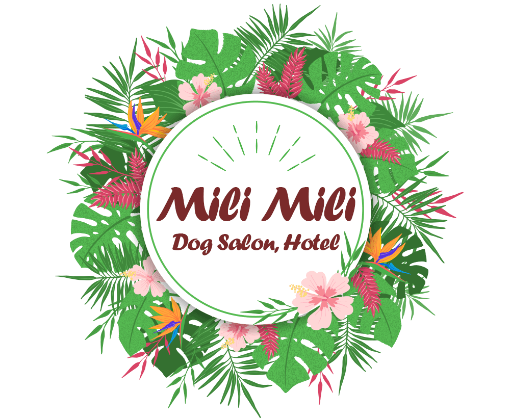 Dog Salon, Hotel Mili Mili